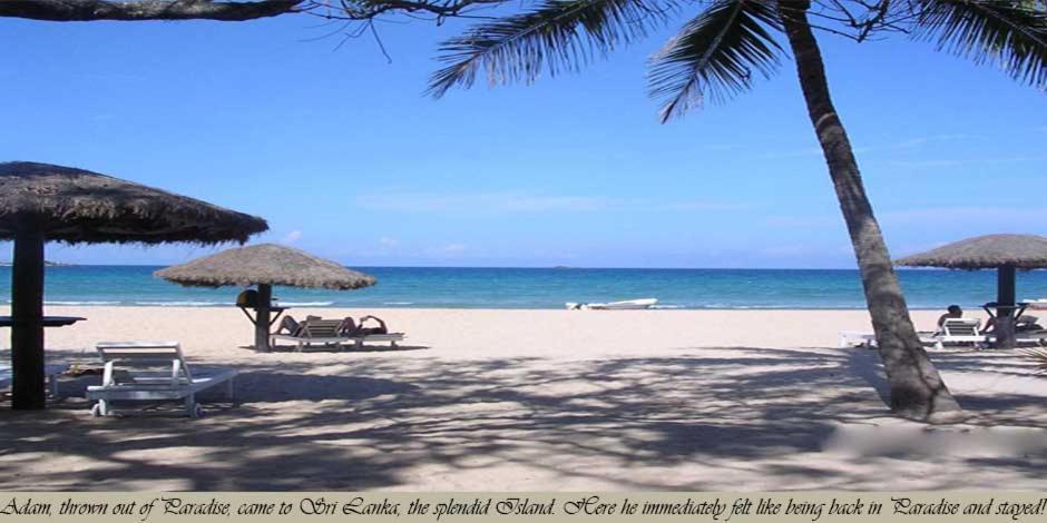 Secret Escape Nilaveli Ayurveda Hotel & Spa Екстер'єр фото